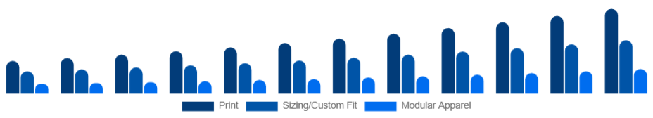 Germany Customizable Clothing Market Personalization Type 2025-2033