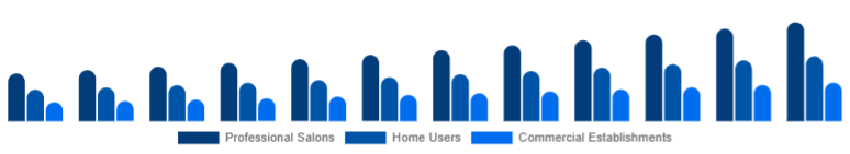 Germany Hair Care Devices Market End-User 2025-2033