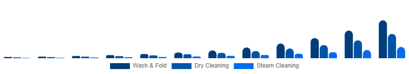 Germany Online Laundry Service Market Service Type 2025-2033