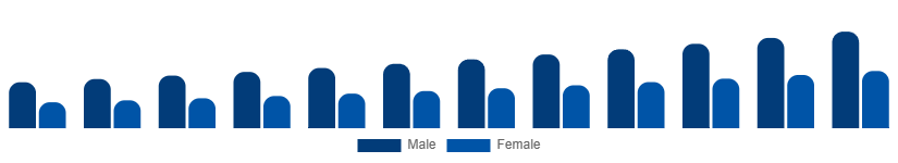 Germany Private Label Cosmetics Market End User 2025-2033