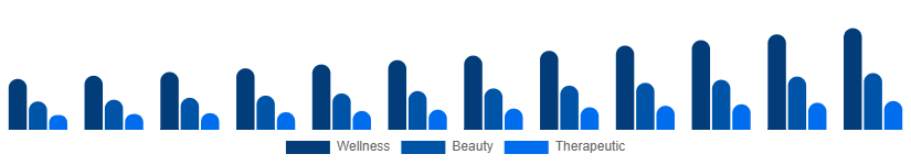Germany Spa Resort Market Service 2025-2033
