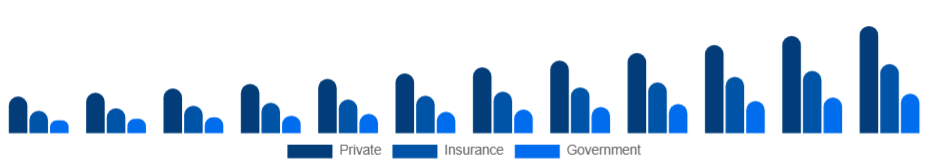 Global Air Ambulance Services Market Payer 2025-2033