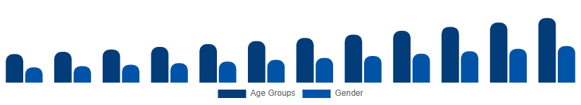 Global Digital Games Market Gamer Demographics 2025-2033