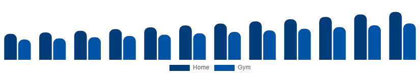 Global Fitness Equipment Market End Use 2025-2033