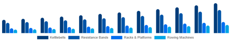 Global Functional Fitness Equipment Market Equipment Type 2025-2033