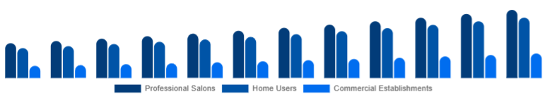 Global Hair Care Devices Market End-User 2025-2033