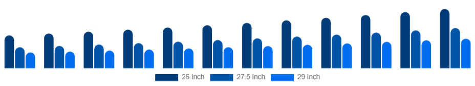 Global Mountain Bike Market Wheel Size 2025-2033
