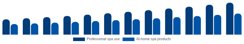 Global Spa Products Market End-user 2025-2033