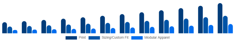 India Customizable Clothing Market Personalization Type 2025-2033