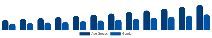 India Digital Games Market Gamer Demographics 2025-2033