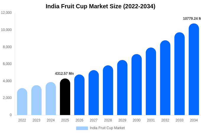 India Fruit Cup Market Size, Share Report By 2034