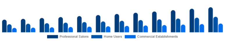 India Hair Care Devices Market End-User 2025-2033