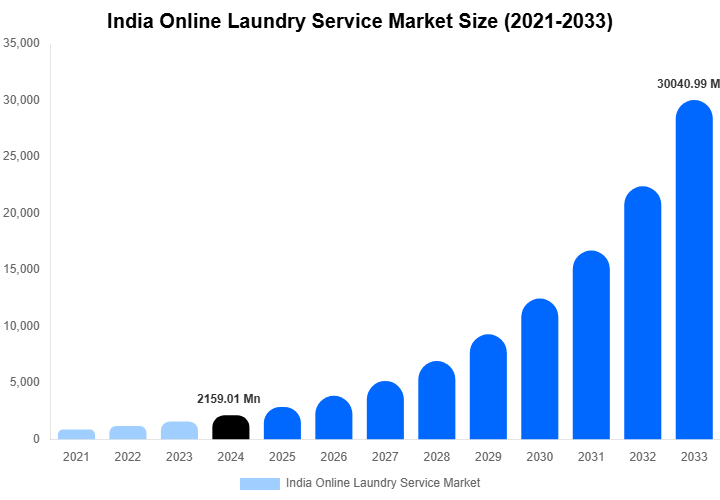 India Online Laundry Service Market Size, Share & Growth Report By [2033]