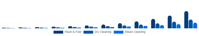 India Online Laundry Service Market Service Type 2025-2033