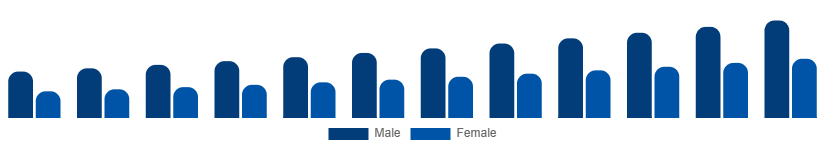 India Private Label Cosmetics Market End User 2025-2033