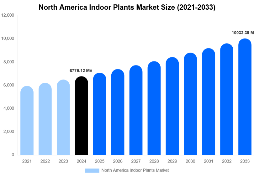 North America Indoor Plants Market Size, Share & Growth Analysis By [2033]