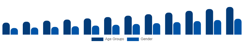 Italy Digital Games Market Gamer Demographics 2025-2033