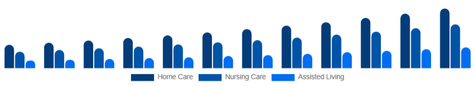 Italy Elderly Care Market Service Type 2025-2033