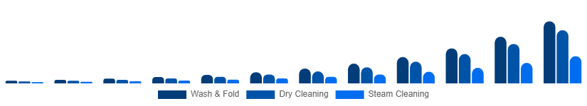 Italy Online Laundry Service Market Service Type 2025-2033