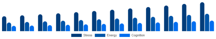 Japan Adaptogens Market Application 2025-2033