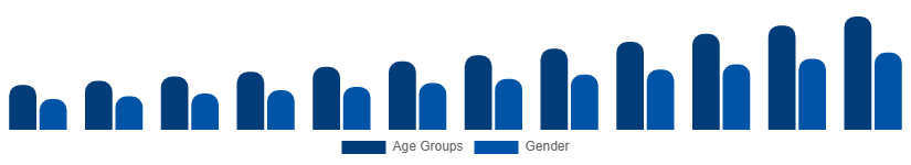 Japan Digital Games Market Gamer Demographics 2025-2033