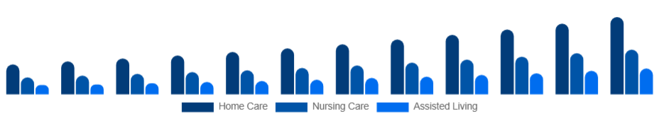 Japan Elderly Care Market Service Type 2025-2033