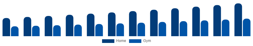 Japan Fitness Equipment Market End Use 2025-2033
