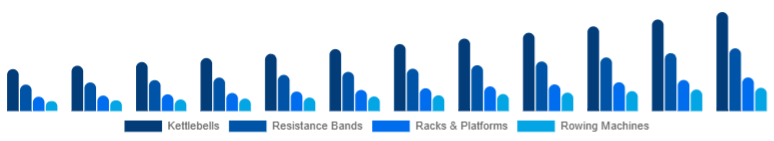 Japan Functional Fitness Equipment Market Equipment Type 2025-2033