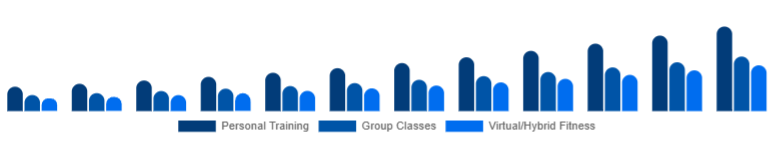Japan Gym Membership Market Service Type 2025-2033