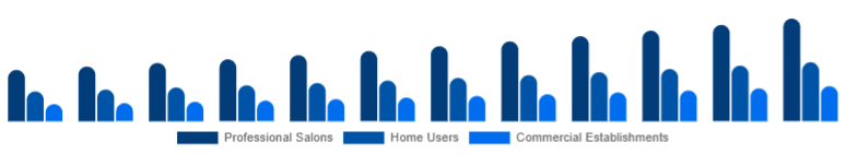 Japan Hair Care Devices Market End-User 2025-2033