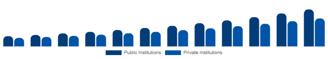 Japan Higher Education Market Funding Source 2025-2033