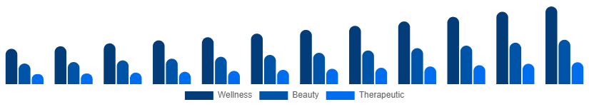 Japan Spa Resort Market Service 2025-2033