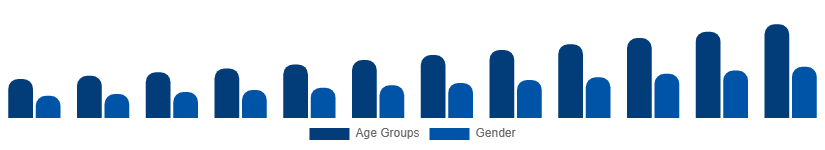 Korea Digital Games Market Gamer Demographics 2025-2033