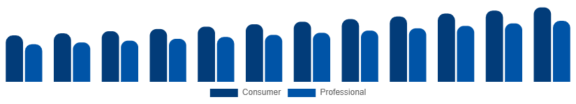 Korea DSLR Cameras Market Application 2025-2033