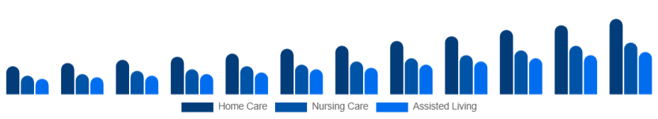 Korea Elderly Care Market Service Type 2025-2033