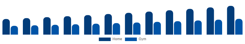Korea Fitness Equipment Market End Use 2025-2033