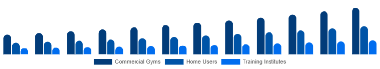 Korea Functional Fitness Equipment Market End-User 2025-2033