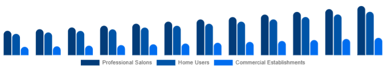 Korea Hair Care Devices Market End-User 2025-2033