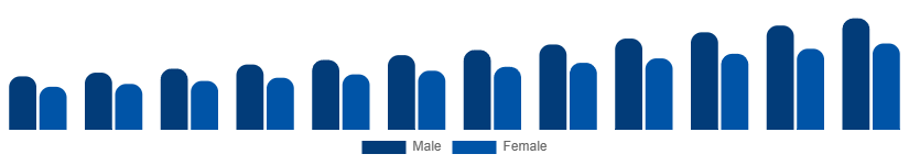 Korea Private Label Cosmetics Market End User 2025-2033