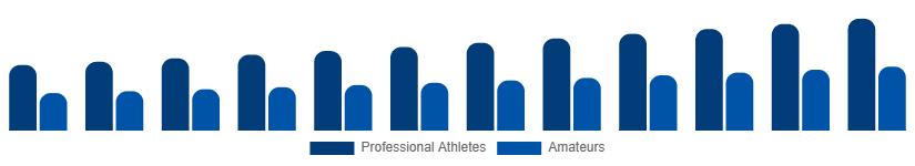 Korea Winter Sports Equipment Market End User 2025-2033