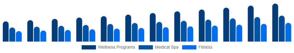 LATAM Destination Spa Market Service 2025-2033