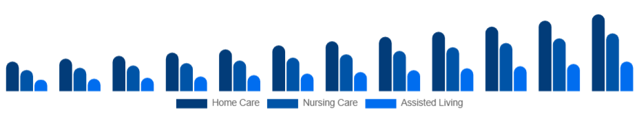 LATAM Elderly Care Market Service Type 2025-2033