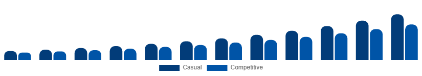 LATAM Fantasy Sports Market User Type 2025-2033
