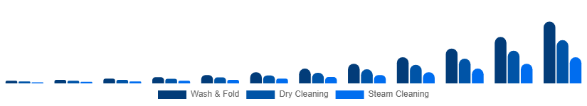 LATAM Online Laundry Service Market Service Type 2025-2033