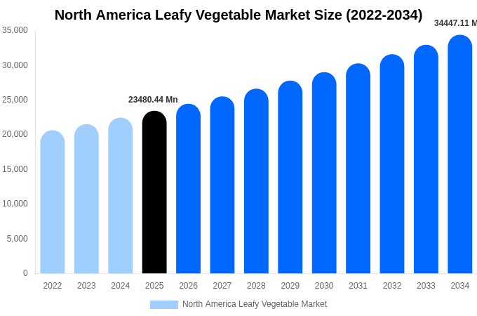 North America Leafy Vegetable Market Size, Share & Growth Report By 2034