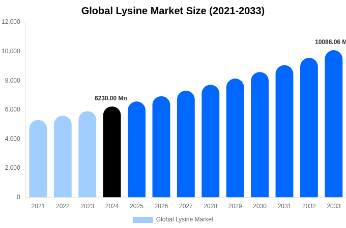 リジンの世界市場規模、シェア、トレンドレポート（2033年まで）