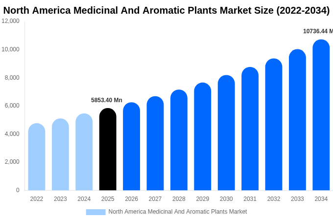North America Medicinal And Aromatic Plants Market Size, Share & Trends Report By 2034