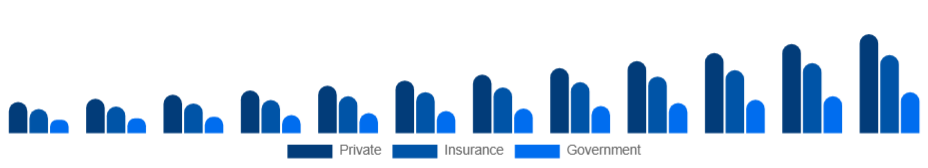 Mexico Air Ambulance Services Market Payer 2025-2033