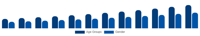 Mexico Digital Games Market Gamer Demographics 2025-2033