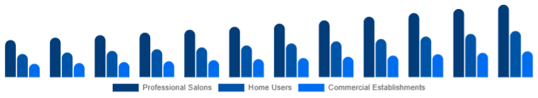 Mexico Hair Care Devices Market End-User 2025-2033
